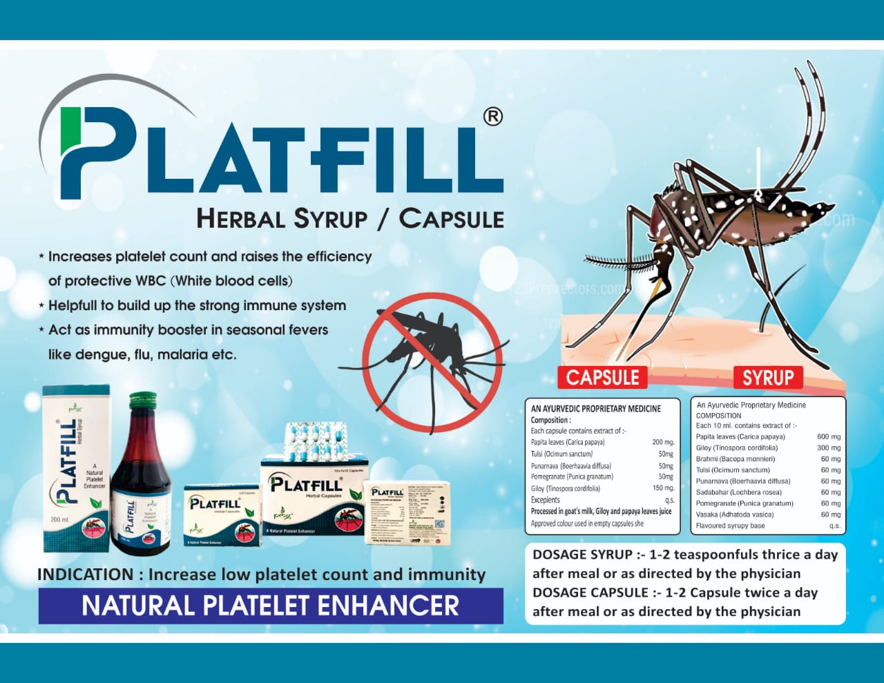 SYP PLATFILL.jpg 
